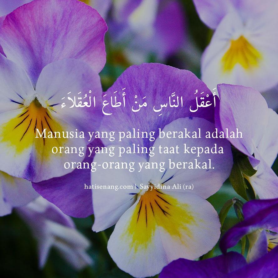 Tentang Aqil (Orang Berakal) 001 - Sayyidina Ali r.a.